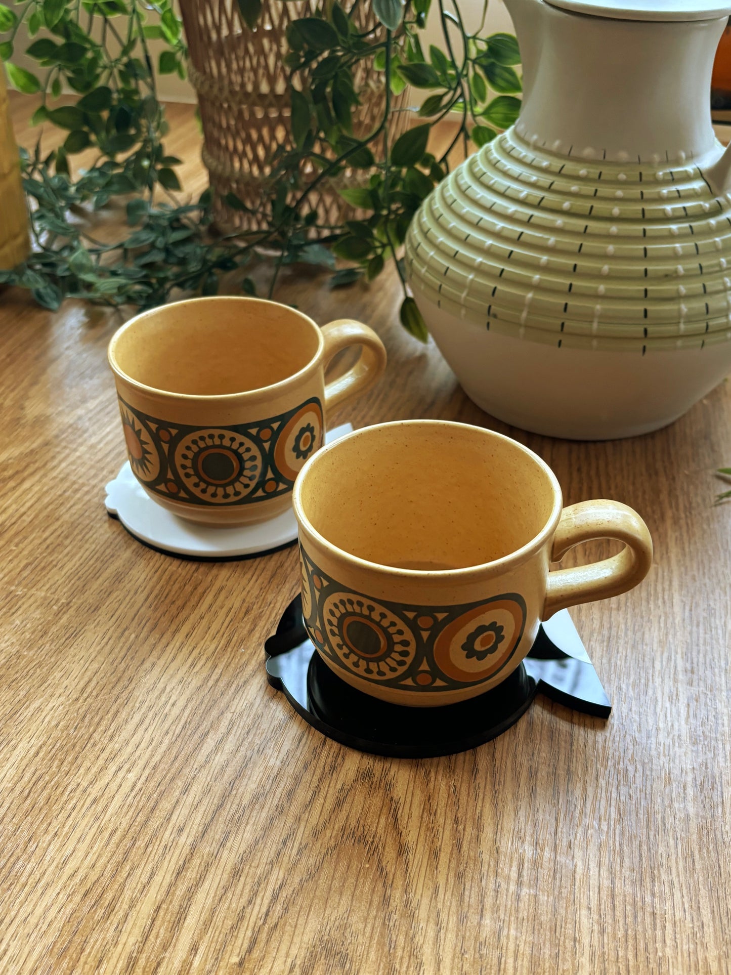 NEW Fish Face Coasters