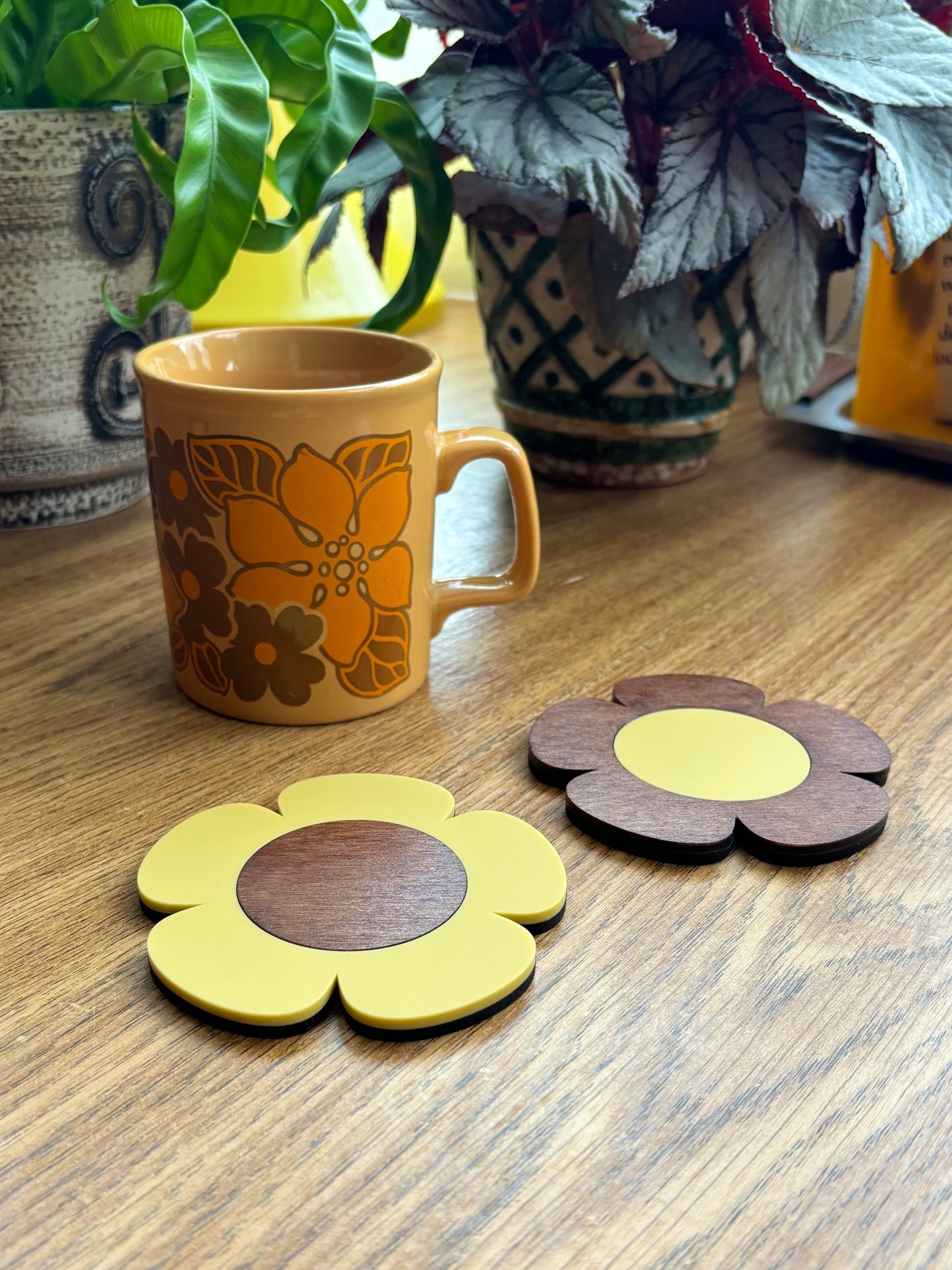 Day’s Eye Coasters