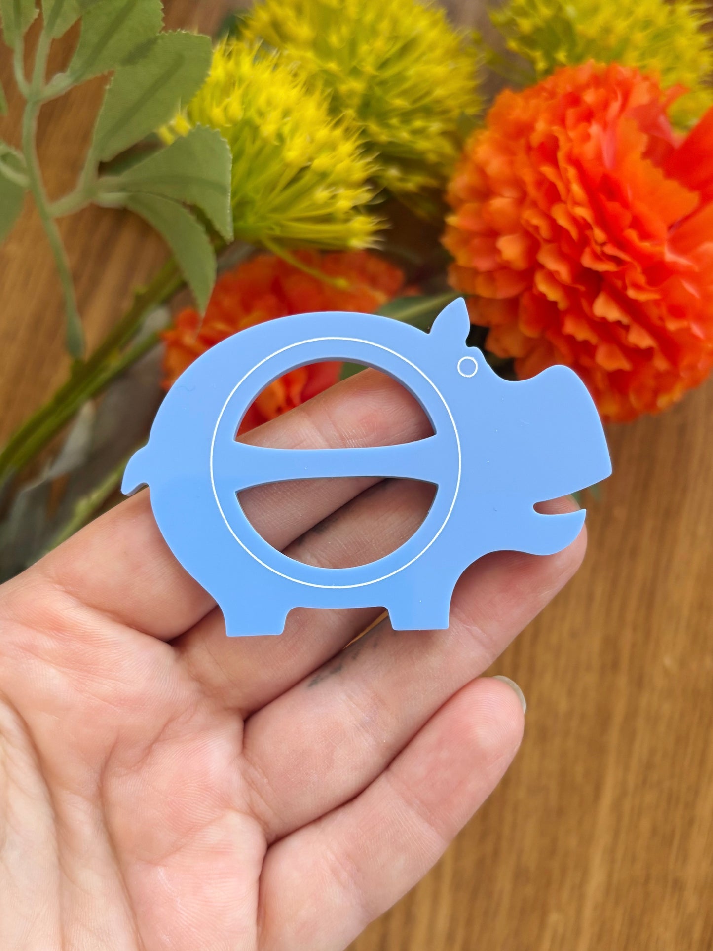 NEW Mini Mirror Hippo Toggle