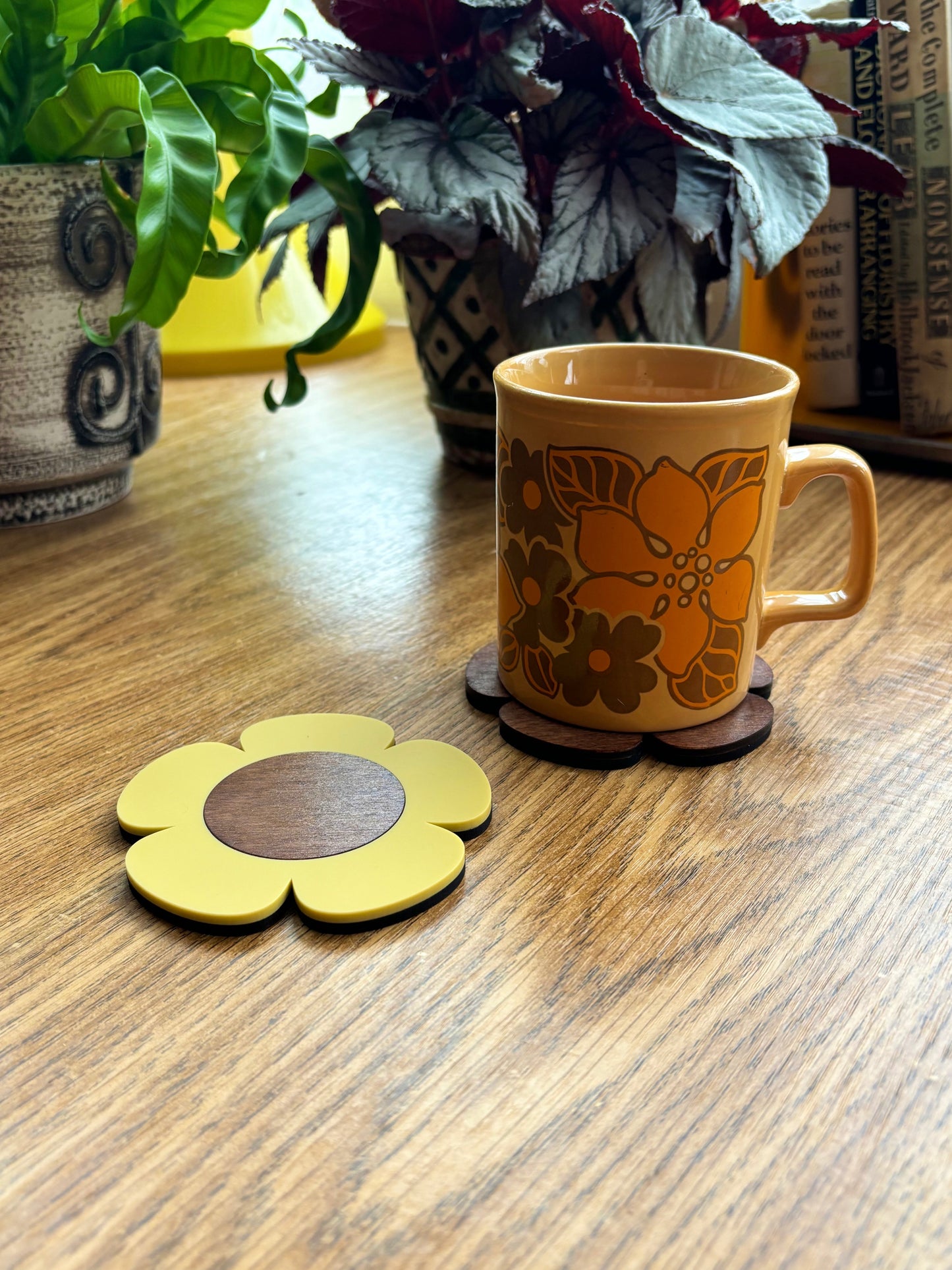 Day’s Eye Coasters