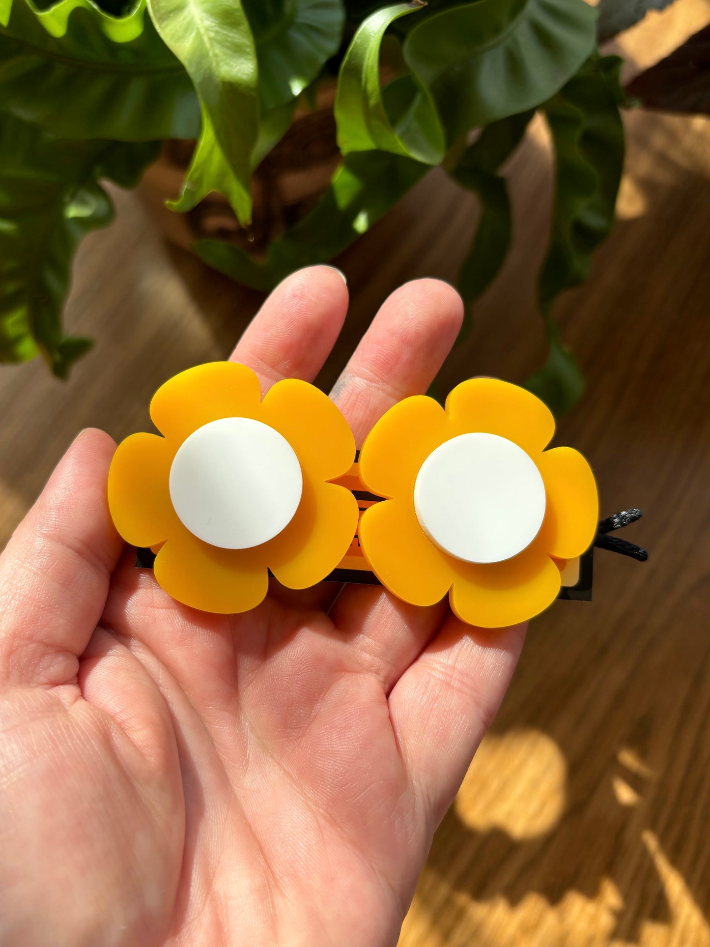 Daphne Hair Clips (pair)