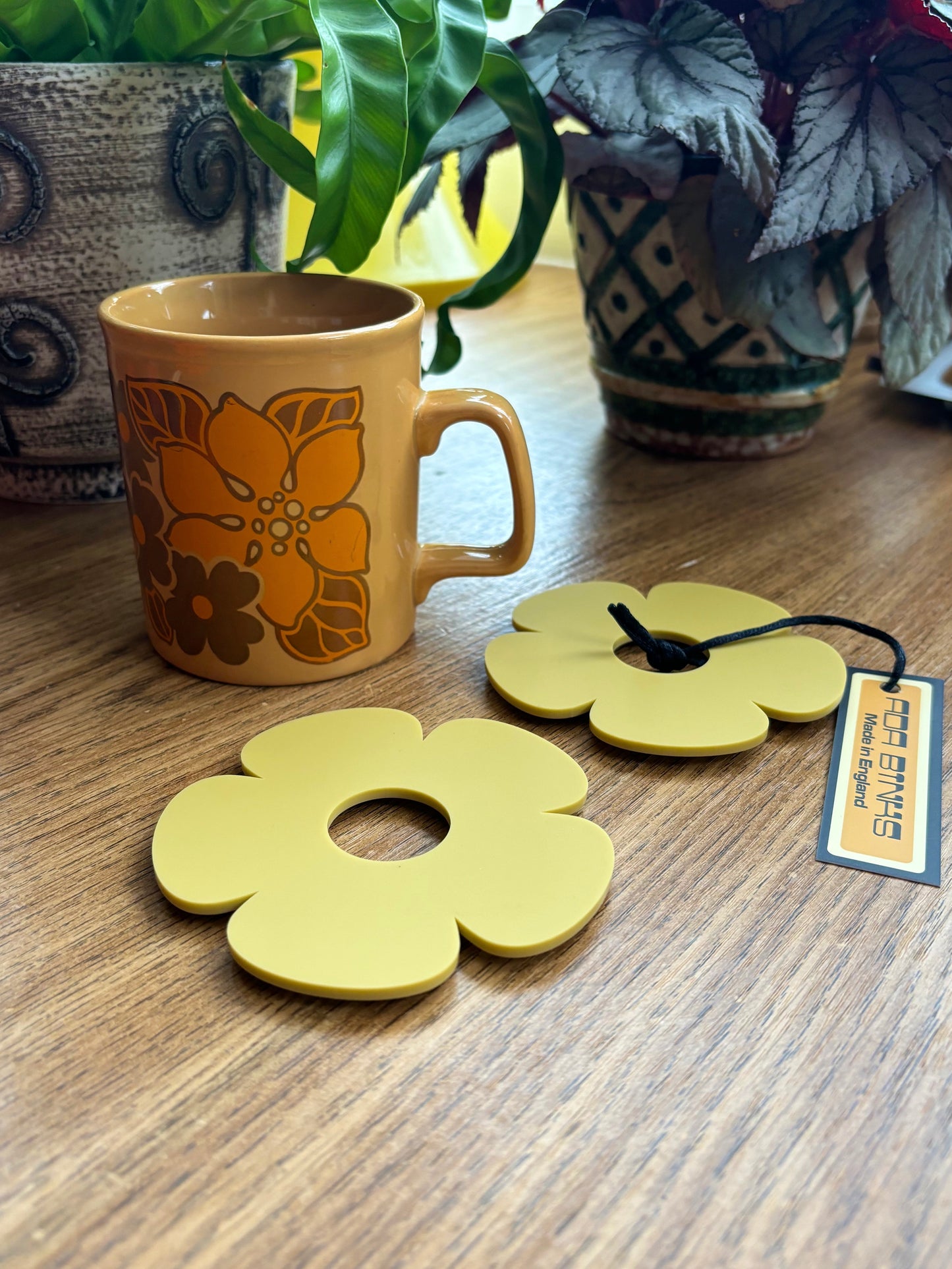 Daphne Coasters