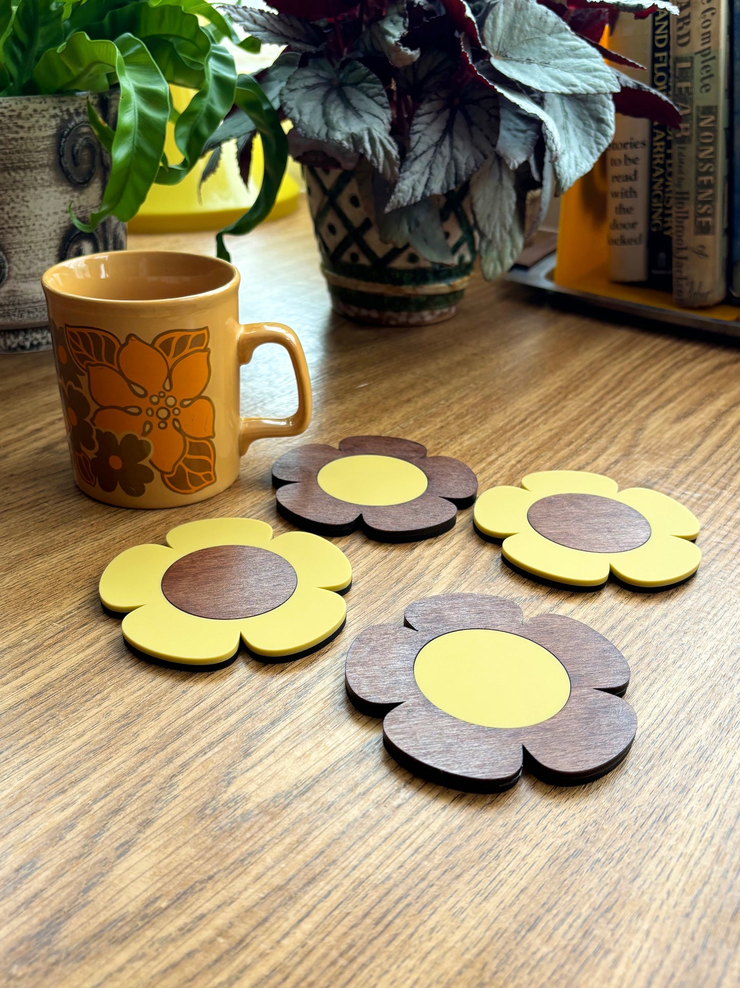 Day’s Eye Coasters