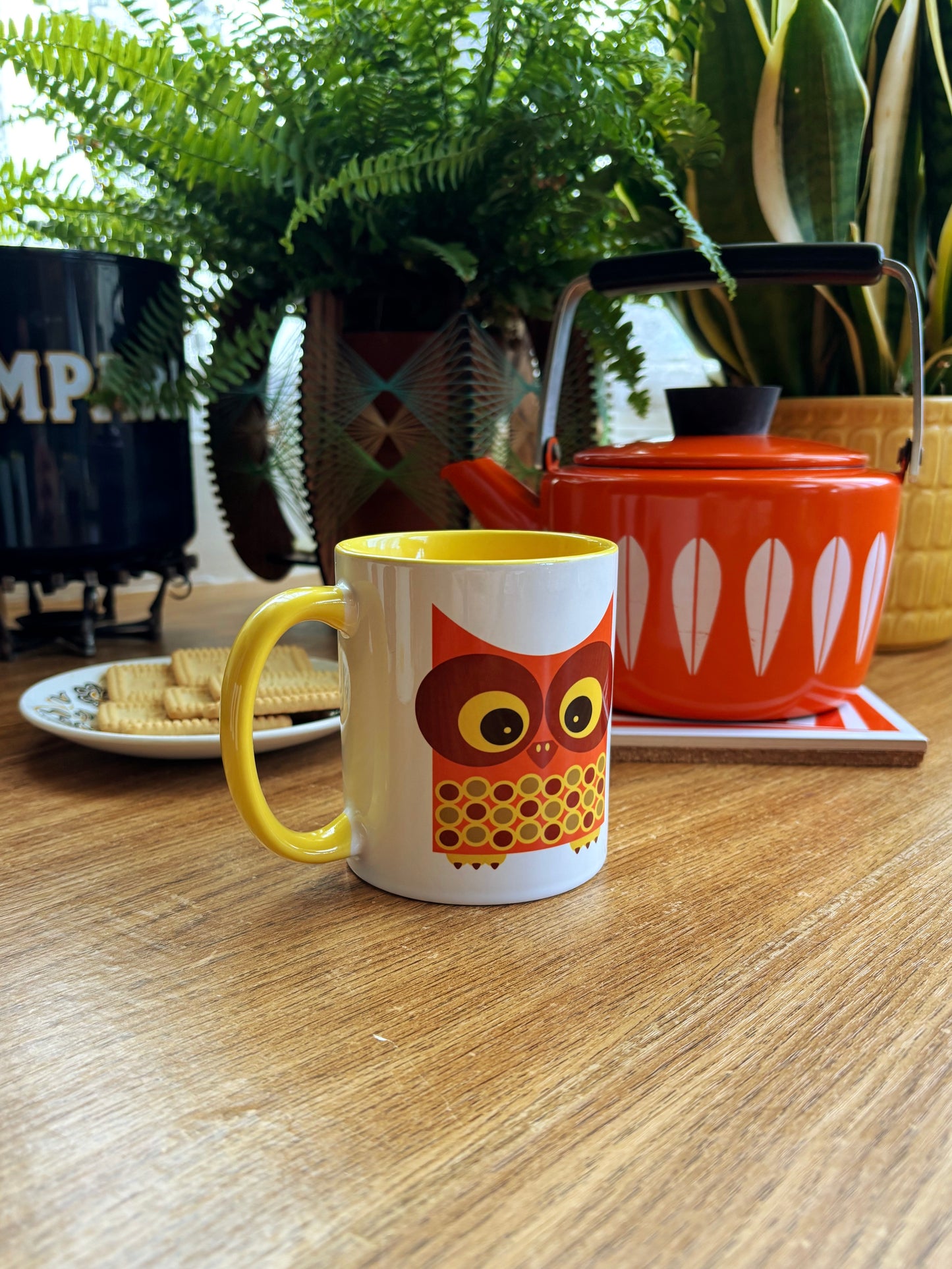 NEW- Wally The Owl Ceramic Mug